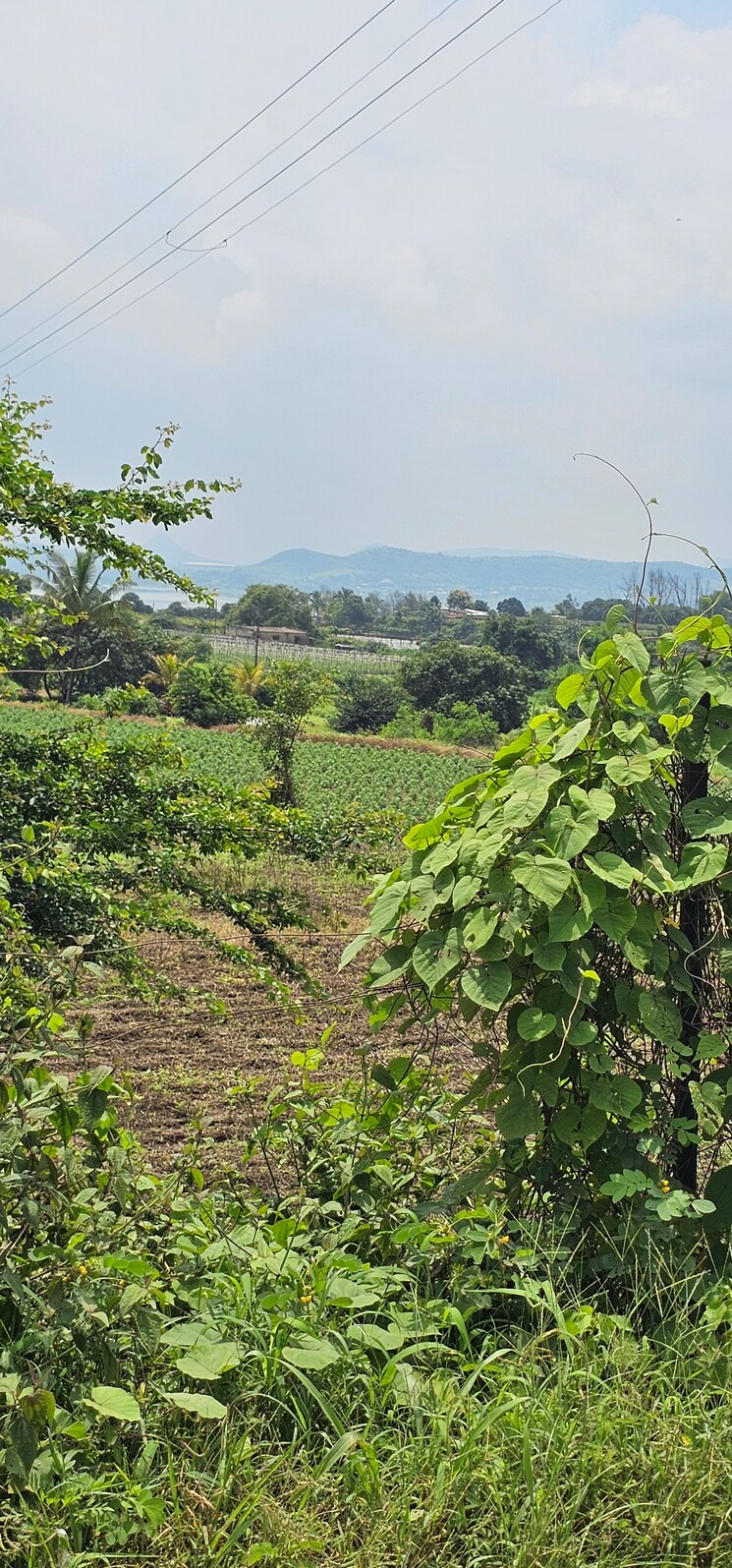 Garden, nagalwadi  3100 Sq.Ft. Plot In Nagalwadi Nashik 8965136