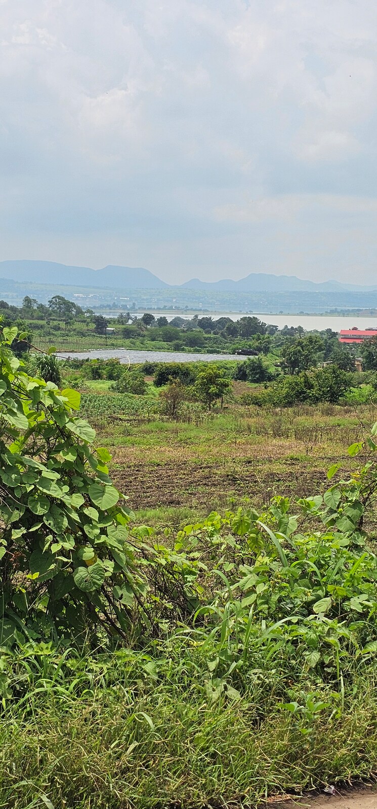 Garden, nagalwadi  3100 Sq.Ft. Plot In Nagalwadi Nashik 8965136