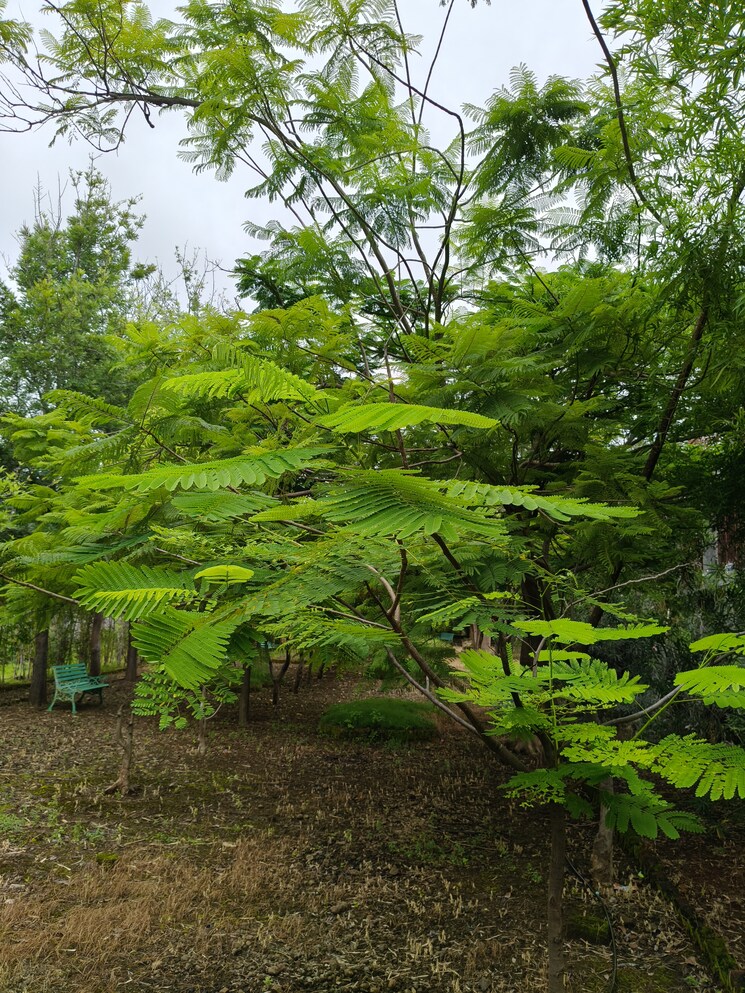 Garden, by-the-lake 4 Bedroom 2700 Sq.Ft. Villa In Shirwal Pune 8965257