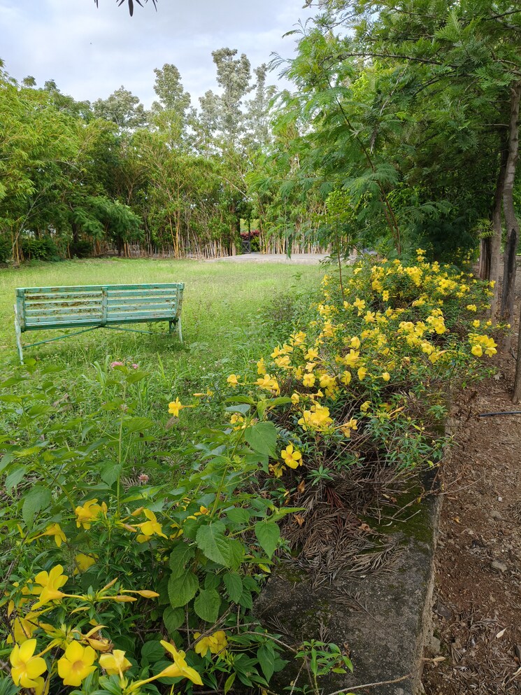 Garden, by-the-lake 3 Bedroom 2600 Sq.Ft. Villa In Shirwal Pune 8965284