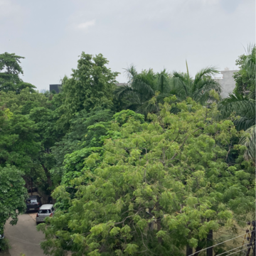 1 BHK Independent House – Garden View at RWA Apartments Sector 41, Sector 41 - for Rent