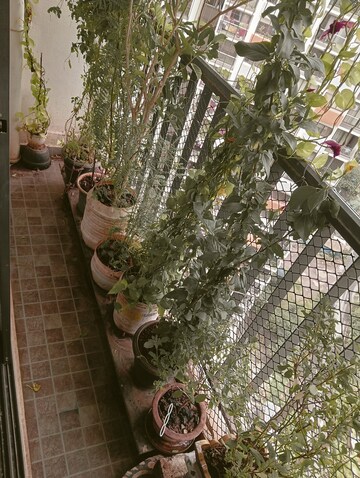 Balcony in 3 BHK Apartment at Shapoorji Pallonji Joyville, Virar West – for Sale