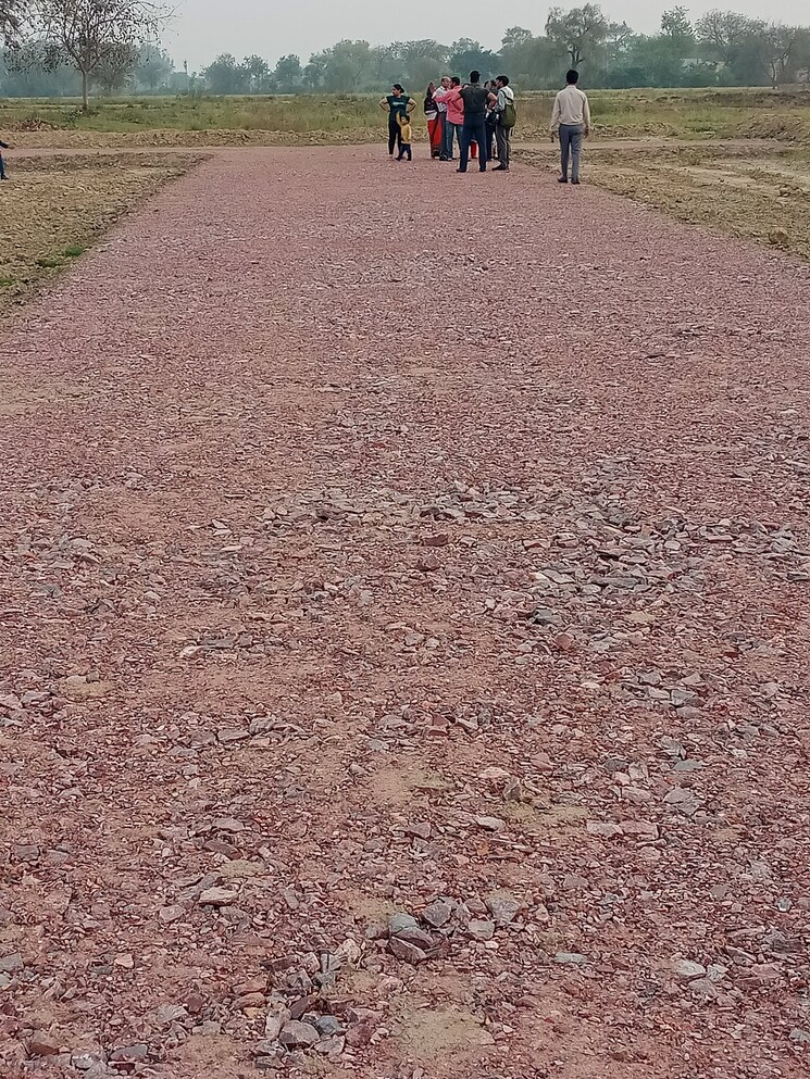 undefined, bamnikhera  300 Sq.Yd. Plot In Bamnikhera Palwal 8965747