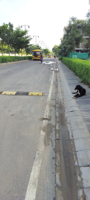 Swimming Pool in 1 RK Apartment at Sector 70a – for Sale