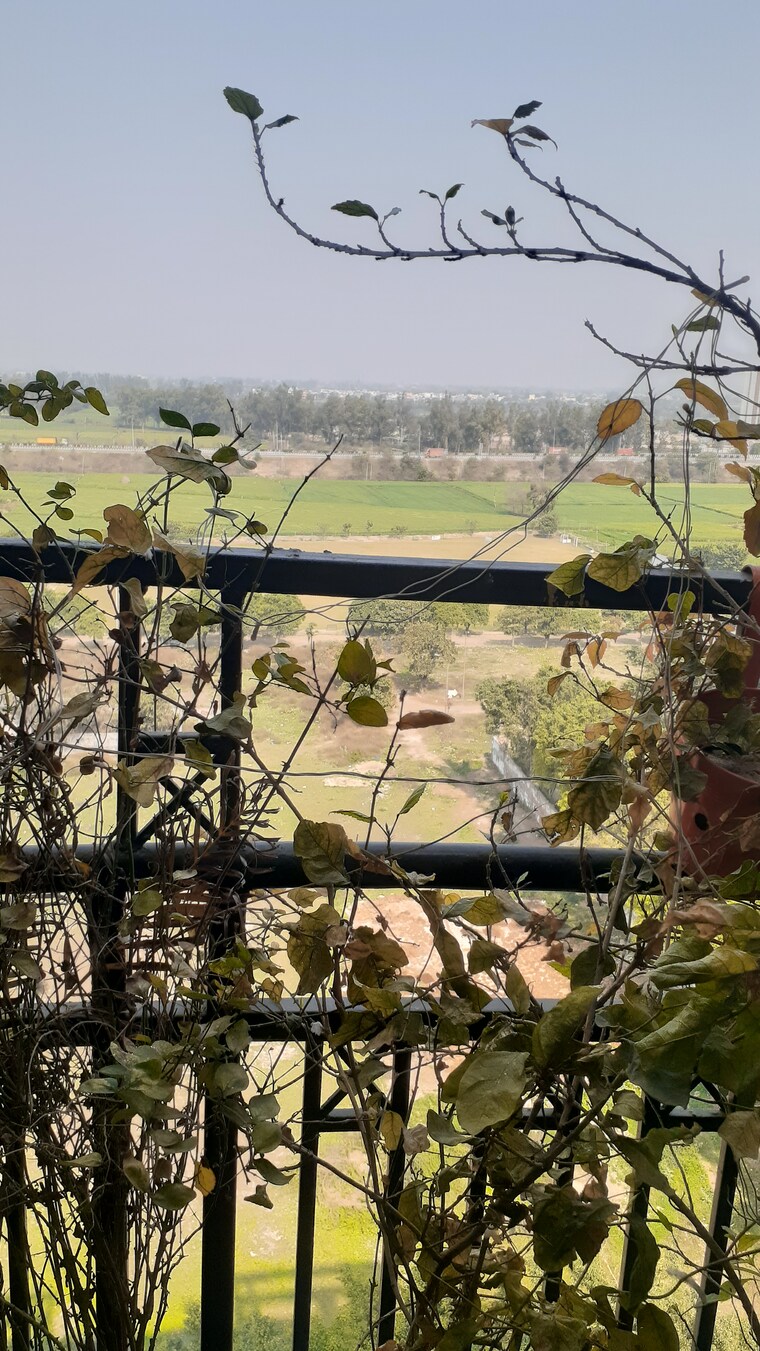 Master Plan, ansal-sunshine-county 2 Bedroom 1343 Sq.Ft. Apartment In Kundli Sonipat 8965795