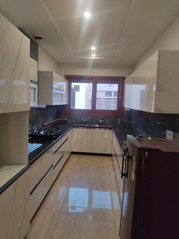 Kitchen in 2 BHK Builder Floor at Sector 37 – for Rent