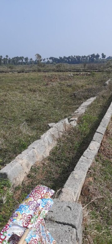 Plot Area in  Plot at Korukonda – for Sale