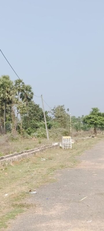 Plot Area in  Plot at Korukonda – for Sale