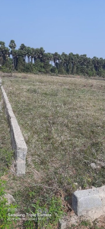  Plot For Sale in Korukonda