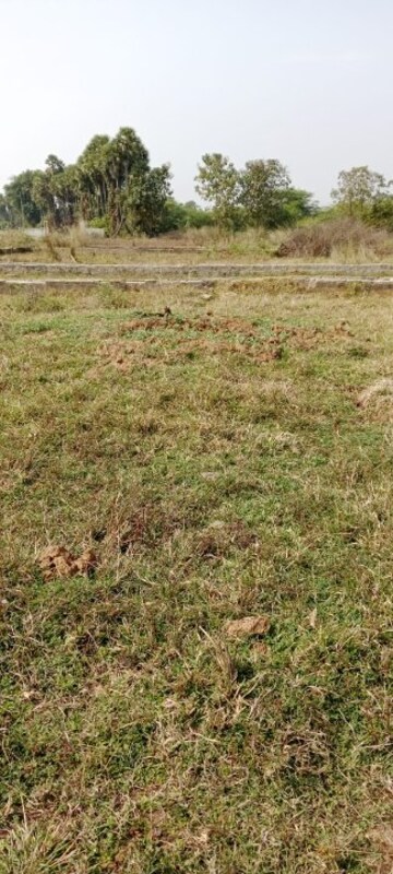 Plot Area in  Plot at Korukonda – for Sale