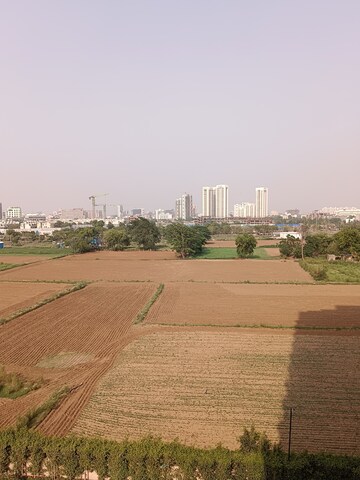 Plot Area in 2 BHK Apartment at Signature Global Synera, Sector 81 – for Rent