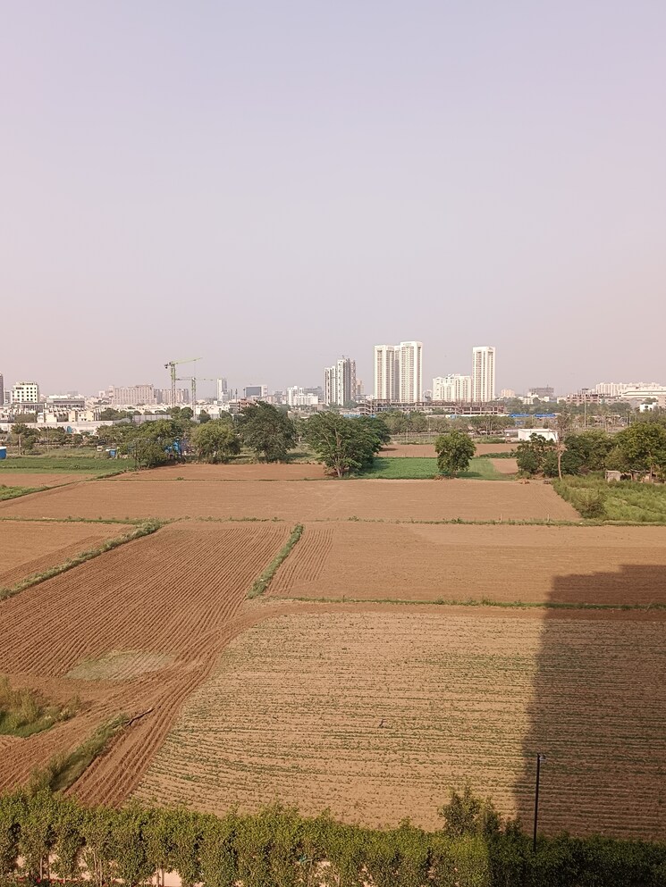 undefined, signature-global-synera 2 Bedroom 568 Sq.Ft. Apartment In Sector 81 Gurgaon 8966077