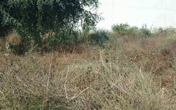 Plot For Sale in Dundahera