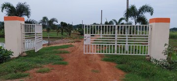  Plot For Sale in Pipili