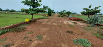  Plot – Exterior View View at Pipili - for Sale
