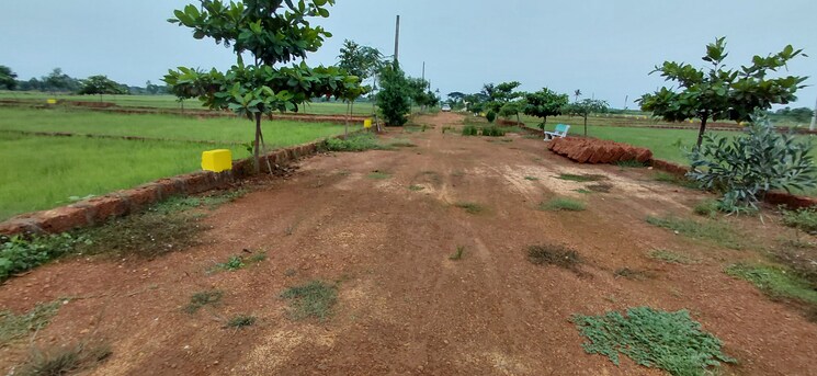 Exterior View, pipili  1500 Sq.Ft. Plot In Pipili Bhubaneswar 8966174