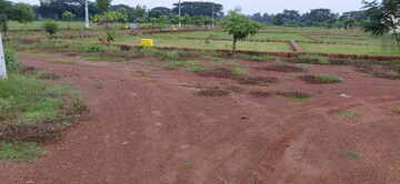 Plot Area in  Plot at Pipili – for Sale