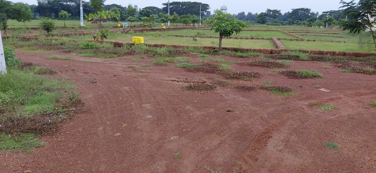 undefined, pipili  1500 Sq.Ft. Plot In Pipili Bhubaneswar 8966174
