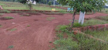 Plot Area in  Plot at Pipili – for Sale