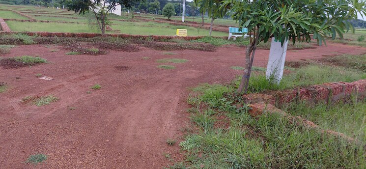 undefined, pipili  1500 Sq.Ft. Plot In Pipili Bhubaneswar 8966174