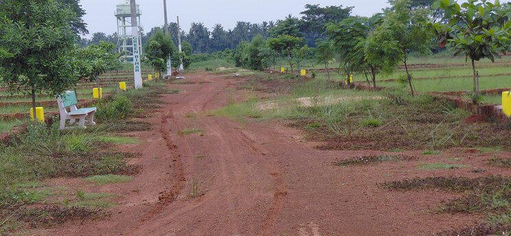 undefined, pipili  1500 Sq.Ft. Plot In Pipili Bhubaneswar 8966174