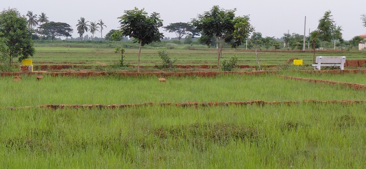 undefined, pipili  1500 Sq.Ft. Plot In Pipili Bhubaneswar 8966174