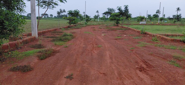 undefined, pipili  1500 Sq.Ft. Plot In Pipili Bhubaneswar 8966174