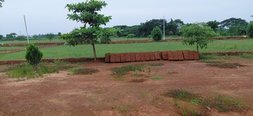 Plot Area in  Plot at Pipili – for Sale