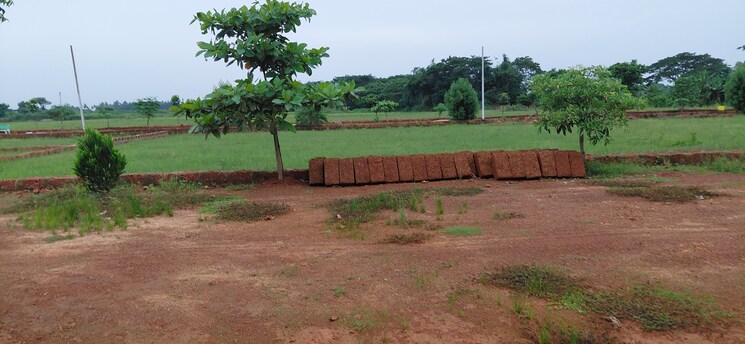 undefined, pipili  1500 Sq.Ft. Plot In Pipili Bhubaneswar 8966174
