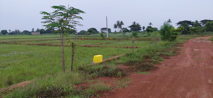 undefined, pipili  1500 Sq.Ft. Plot In Pipili Bhubaneswar 8966174