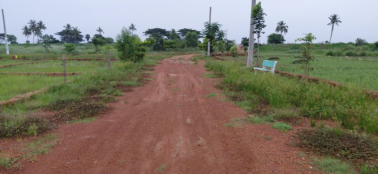 undefined, pipili  1500 Sq.Ft. Plot In Pipili Bhubaneswar 8966174