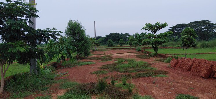 undefined, pipili  1500 Sq.Ft. Plot In Pipili Bhubaneswar 8966174