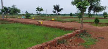 Plot Area in  Plot at Pipili – for Sale