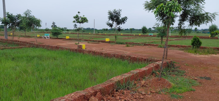 undefined, pipili  1500 Sq.Ft. Plot In Pipili Bhubaneswar 8966174