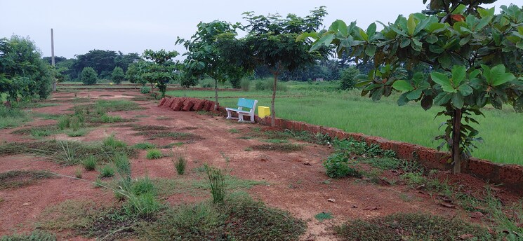 undefined, pipili  1500 Sq.Ft. Plot In Pipili Bhubaneswar 8966174