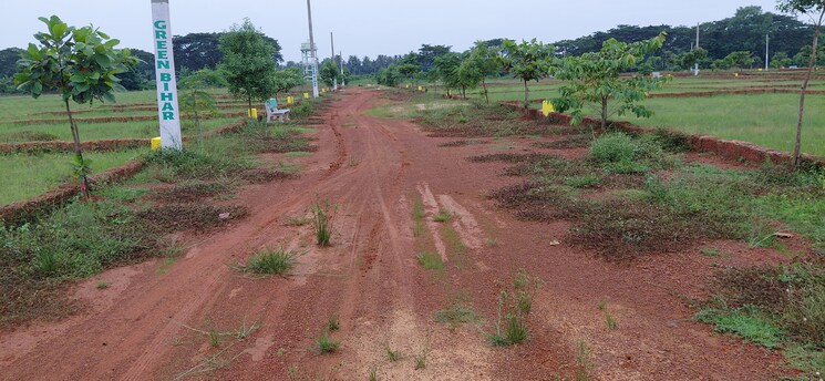 undefined, pipili  1500 Sq.Ft. Plot In Pipili Bhubaneswar 8966174