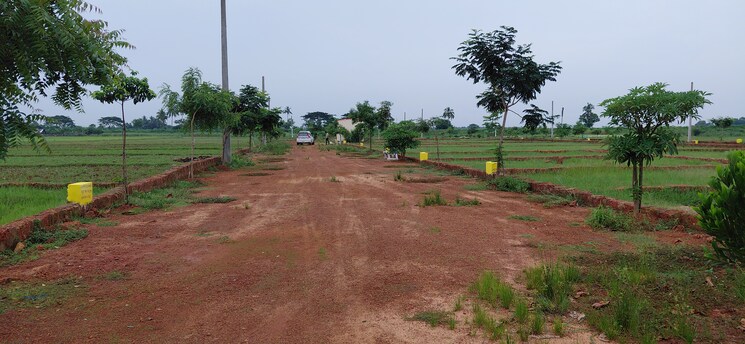 undefined, pipili  1500 Sq.Ft. Plot In Pipili Bhubaneswar 8966174