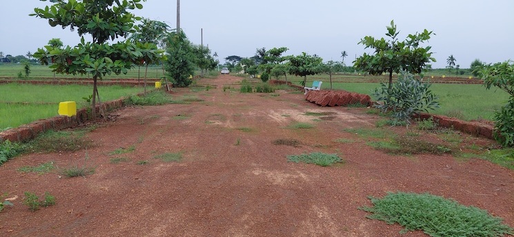 undefined, pipili  1500 Sq.Ft. Plot In Pipili Bhubaneswar 8966174