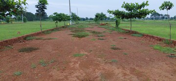 Plot Area in  Plot at Pipili – for Sale