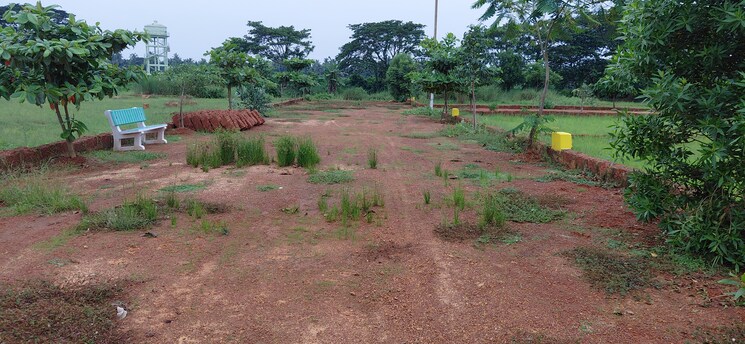 undefined, pipili  1500 Sq.Ft. Plot In Pipili Bhubaneswar 8966174