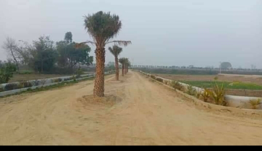 Plot For Sale in Phase 5 