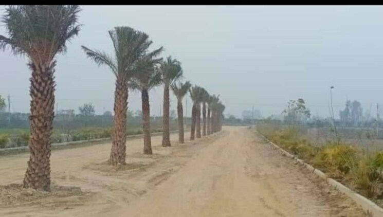 Exterior View, agra expressway  1800 Sq.Ft. Plot In Agra Expressway Lucknow 8964556