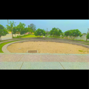 Plot Area in  Plot at Bada Bangarda – for Sale