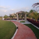 800 Sq.Yd. Plot in Sky Gold