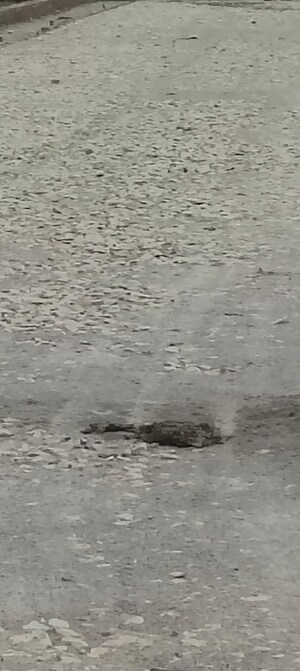 Plot Area in  Plot at Raebareli Road – for Sale