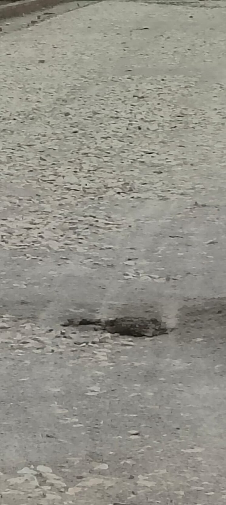 undefined, raebareli road  500 Sq.Ft. Plot In Raebareli Road Lucknow 8966538