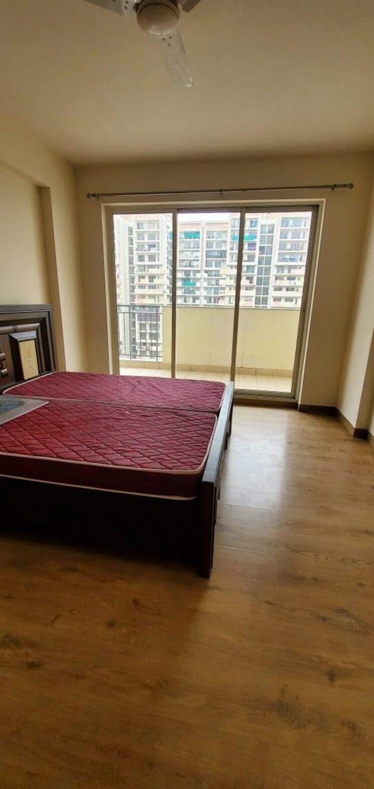 Bedroom, dlf-building-10 3.5 Bedroom 2130 Sq.Ft. Builder Floor In Dlf Phase ii Gurgaon 8966635