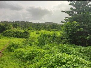  Plot – Garden View at Old Panvel - for Sale