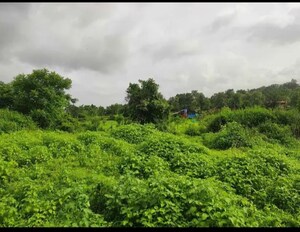  Plot – Garden View at Old Panvel - for Sale