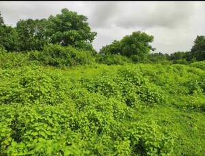  Plot – Garden View at Old Panvel - for Sale